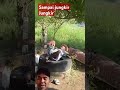 sampai jungkir jungkir humor firal vidio viral short lucu trands bikin ngakak bikin ketawa