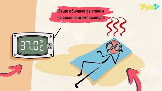 Защо се чувстваме най-добре на стайна температура?