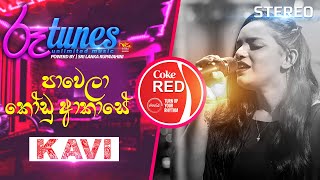 Paawela Kodu Akase | පාවෙලා කෝඩු ආකාසේ | Kawya Adhikari | Coke RED | @RooTunes