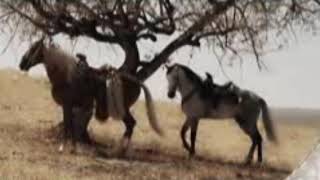 Joan Sebastian y Vicente Fernández - La derrota