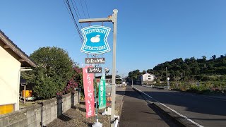 みかん無人販売所　農村ステーションに行ってみた！