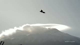 LA CUNTISA IN CONTROLUCE - ETNA 19-11-2024