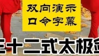 太极剑普及套路：32式太极剑正背面双向对照演示带李德印口令 #一见爱上传统文化 #太极拳教学 #全民健身你我同行 #太极养生动起来 #弘扬中华武术