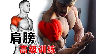 肩部高级训练，让三角肌泵感十足|shoulder workouts【飞特那斯】