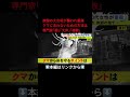 ⬆️本編はリンクから⬆️エサが増え活発に…クマの目撃相次ぎ人が襲われる被害も 専門家「大声や複数での行動が遭遇リスク下げる」