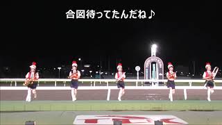 大井競馬場の東京トゥインクルファンファーレ隊の演奏♪