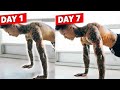 Does it REALLY Work? 100 Push Ups a Day