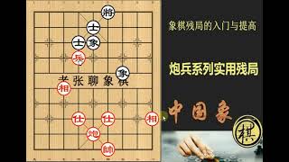 象棋残局的入门与提高：炮兵系列实用残局