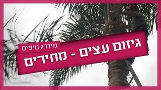 גיזום עצים - מחירים