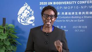 CFS 49 Special Event - Statement by Elizabeth Mrema, Executive Secretary, UNCBD