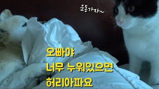 정식이의 227번째 이야기~길아이와 정미의 만남~사랑스러워요