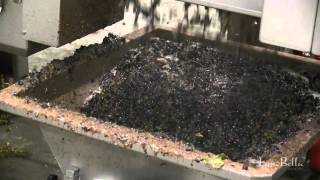 L'uva Bella Winery - Grape Crushing Video