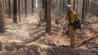 Inside The West Mims Wildfire