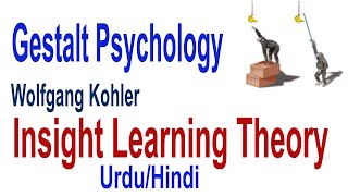 What is Insight Learning | Cognitive Learning Theory by Kohler| Gestalt Psychology | Urdu/Hindi