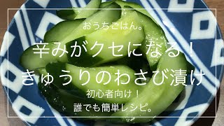 【簡単レシピ】辛みがクセになる！きゅうりのわさび漬け