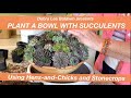 Make a Mounded Succulent Arrangement with Hens-and-Chicks and Stonecrops