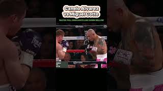 Canelo Alvarez vs Miguel Cotto  #boxing #combat #sports