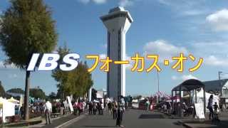 IBSフォーカス・オン「食のイベント満載『第2回行方ふれあいまつり』」〈行方市〉IBS（2015.11.12）