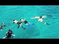 great barrier reef scenic helicopter tour and cruise from cairns