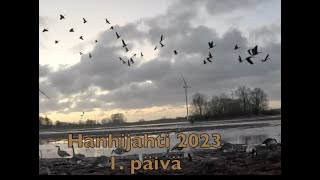 Hanhijahti 2023 Osa 1/2 goose hunting 2023 part 1/2