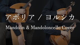 ヨルシカ「アポリア」 Mandolin \u0026 Mandoloncello Cover 「チ。ー地球の運動についてー」ED