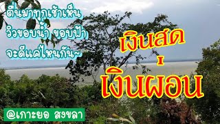 ขายที่ดิน มองเห็นวิวทะเลสาปสงขลา 180 องศา ติดถนนบ้านสวนใหม่ เกาะยอ สงขลา บรรยาวี