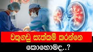 වකුගඩු සැත්කම් කරන්නෙ කොහොමද?