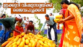 ഇക്കുറി വിഷുസദ്യയ്ക്ക് ജൈവപച്ചക്കറി | Vishu Vadakara | Organic farming