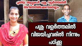 പശു വളർത്തലിൽ വിജയിച്ചവരിൽ നിന്നും പഠിക്കൂ #edapparambilfarms