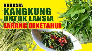 Manfaat Luar Biasa Kangkung untuk Lansia: Sayuran Hijau dengan Segudang Khasiat!