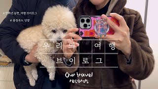 여행 VLOG) 충청북도 단양 반려견 동반 여행🐾🐩 1박2일 여행브이로그✨ 이마트 트레이더스 장보기 | 강아지풀펜션 | 단양구경시장