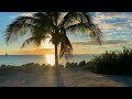 Tropical Dreams: Sunset at Palm Beach in 4K Paradise 🌅🌴🏖️