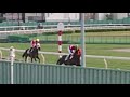 浦和競馬 テレ玉 bachプラザ特別 馬場入り 返し馬 第12r 2021年9月24日 撮影🎬