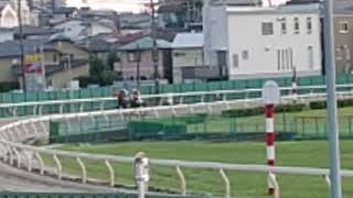 #浦和競馬 #テレ玉 BACHプラザ特別 #馬場入り  #返し馬 #第12R #2021年9月24日  #撮影🎬