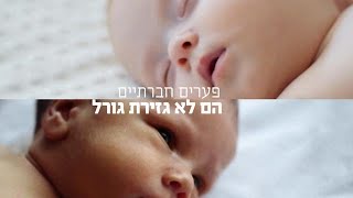 ריאיון עם מנכ\