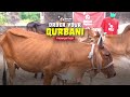 Fulfill your Qurbani today for just £25!