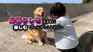 島に来て良かった『最高‼︎』と思った愛犬ホット君…@hotto510