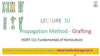 #HORT111 | Lecture 10 Grafting | ग्राफटिंग