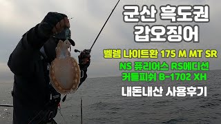 (군산 갑오징어 낚시) 벨렘나이트 환 175/커틀피쉬 1702 사용후기/갑오징어 낚시방법 및 채비/조황 (군산 드래곤호)