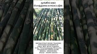 மூங்கில் மரம் மொத்தமாக வாங்கப்படும். #bamboo #bamboop #tamil