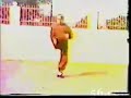 Huang Xing Xian performing the Chinese Nepai or  White Crane Ehrshibabu  -  Quick Fist in 28 Steps