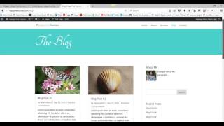 How to tell the difference between WordPress Plugins & Widgets