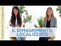 Esiste il Dimagrimento Localizzato? Alimentazione e Fitness