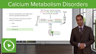 Calcium Metabolism Disorders: Overview \u0026 Regulation – Endocrine Pathology | Lecturio