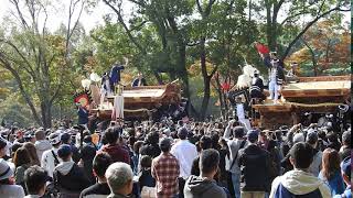 大阪城公園だんじり祭り