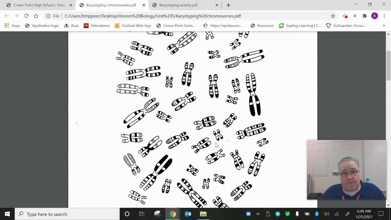 Karyotyping Activity - YouTube