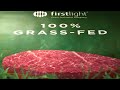 100% Grass-Fed Wagyu first flight Brand From New Zealand 🇳🇿