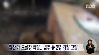 익산 개 도살장 적발..업주 등 2명 경찰 고발 | 전주MBC 230629 방송