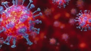 New coronavirus strain found in the UK