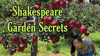 Shakespeare Garden Secrets Meet the Orange Boys #youtube